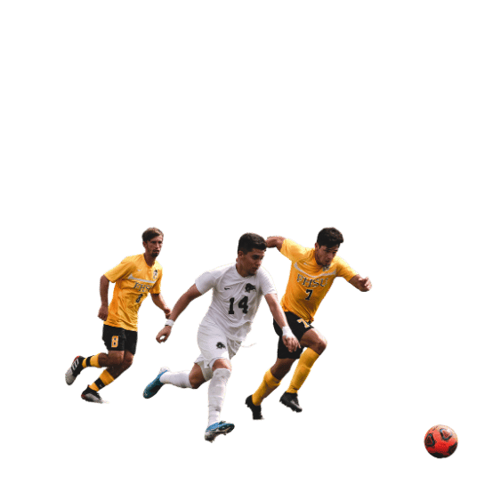 欧洲冠军联赛高质服务